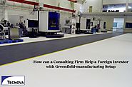 How can a Consulting Firm Help a Foreign Investor with Greenfield-manufacturing Setup