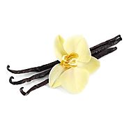 Wholesale Vanilla Extract, Paste & More at the Best Prices!