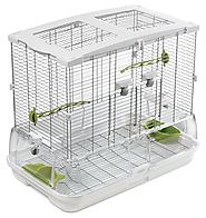 Cheap Parrot Cages