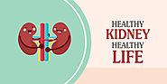 Know How Kidney Plays An Important Role In Our Life - Shuddhi