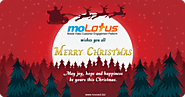 Warm Christmas wishes from moLotus