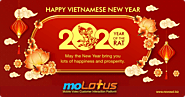 Happy Vietnamese New Year from moLotus!