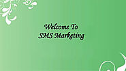 BULK SMS MARKETING – HOW IT CAN BENEFIT A START-UP - Best sms gateway service Provider in Dubai,UAE