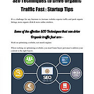 SEO Techniques to Drive Organic Traffic Fast - Startup Tips