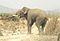 Mount Harriet National Park - Wikipedia, the free encyclopedia