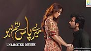 Meray Paas Tum Ho Rahet Fateh Ali Khan Full Mp3 Song