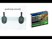 Nematodes, Organic Pest Control UK Bird and Insect Netting - Crop Cover Clips - Gardening Naturally
