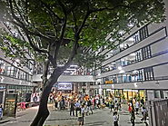 The Shopping Malls