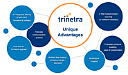 Fleet Management Software & Solutions | Trinetra Wireless