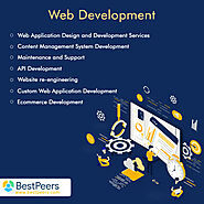 Bestpeers Infosystem | Ruby on rails web Development Company in Indore