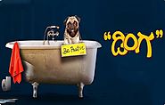 Dinga (2020) DVDScr Kannada Movie Watch Online Free Download