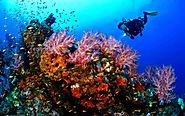 Must visit Dive Spots in India - Lohono Stays By Isprava