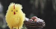 सोने का अंडा | Golden Egg Hen | Moral Stories For Kids In Hindi
