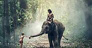 Cruel Elephant - Best Moral Stories For Kids In Hindi