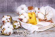 Is Cholesterol Free From Cottonseed Oil? - gulaboils20