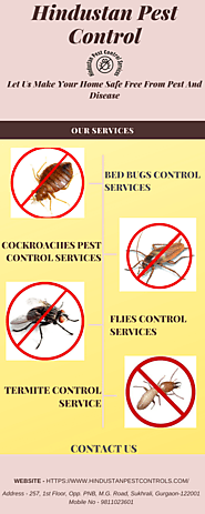 Pest Management Service Provider in Delhi ncr