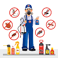 Why is Pest Control Necessary for Food Industry? – Pest Control in Gurgaon,Delhi NCR-Hindustan Pest Controls