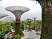 Check out Gardens by the Bay