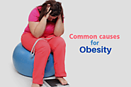 5 Top Most Common Diseases That Are Caused By Obesity – Site Title