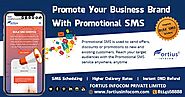Promote Your Business Brand With Promotional SMS