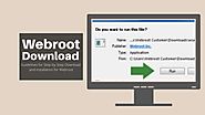Guidelines for Step-by-Step Download and installation for Webroot