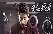 Gentleman (2020) DVDScr Kannada Movie Watch Online Free Download
