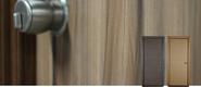 Veneer Doors Designs - Veneer Designs for Doors, Specifications | Bloom Doors