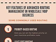 Key Features of Advanced Routing Management in Wholesale VoIP Business