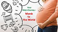 Your Baby's Journey - Womb To The World