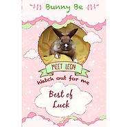 Website at https://ablessedcalltolove.com/product/bunny-be-leon-greeting-card/