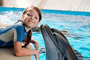 Dubai Dolphinarium Deals, Tickets Price, Location, Offers, Timing 2020