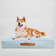 Best Orthopedic Dog Bed | Memory Foam Dog Bed