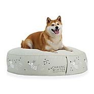 Best Orthopedic Dog Beds to look for in 2020