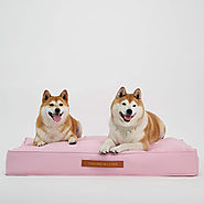 Best Orthopedic Dog Bed : Top 5 Orthopaedic Dog Beds with Extra Comfort and Convenience