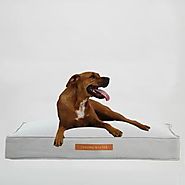 Best Big Dog Beds | Small Dog Beds | Chasing Winter Design Goods