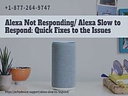 Alexa Not Responding | Alexa Slow to Respond –Call Anytime