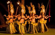 MAUI RESTAURANTS , HAWAII LUAU , MAUI ACTIVITIES, MAUI THINGS TO DO, LAHAINA WEBCAMS
