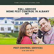Full-Service Home Pest Control in Albany NY