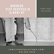 Business Pest Services in Albany NY