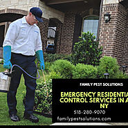 Emergency Residential Pest Control Services in Albany NY