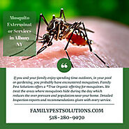 Mosquito Exterminator Services in Albany NY