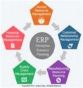 Why small big business need erp solutions