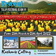 Tulip festival is on!!! Plan with Jetsup Holidays
