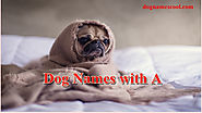 Male And Female Dog Names That Start With A