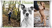 Name of Greek Dogs- Male and Female Female Greek Dog Names