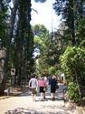 Lokrum - Wikipedia, the free encyclopedia