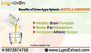 Lypo Spheric Acetyl L Carnitine Supplement : lypoextract