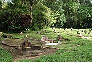 Stroll along the Overgrown Cemetery at Bukit Brown