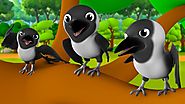 The Three Crows & Parrot Telugu Story - అల్లరి కాకులు, చిలుక నీతి కధ 3D Kids Bedtime Moral Stories