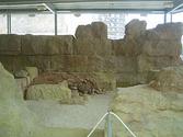Punic wall of Cartagena - Wikipedia, the free encyclopedia